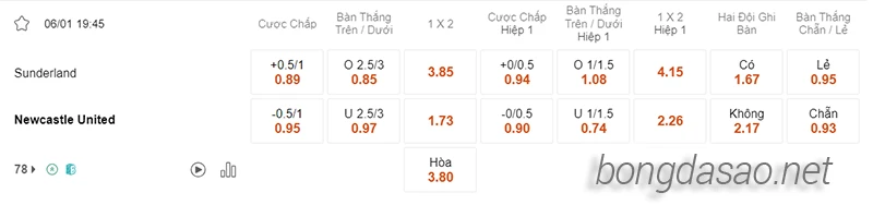 Nhận định soi kèo Sunderland vs Newcastle, 19h45 ngày 06.01