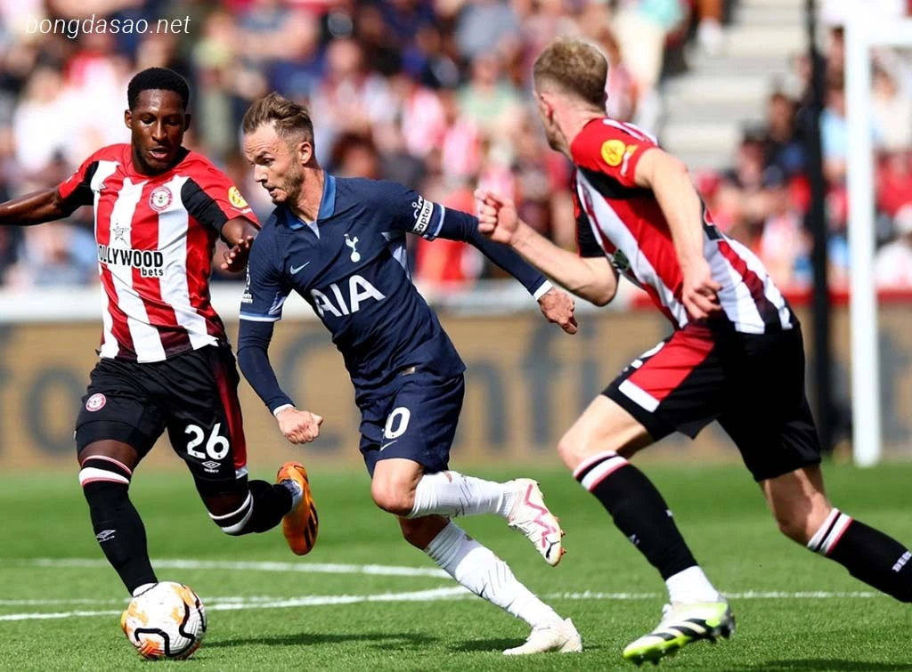 Nhận định kèo xiên ngày 01/02 Tottenham vs Brentford, EPL