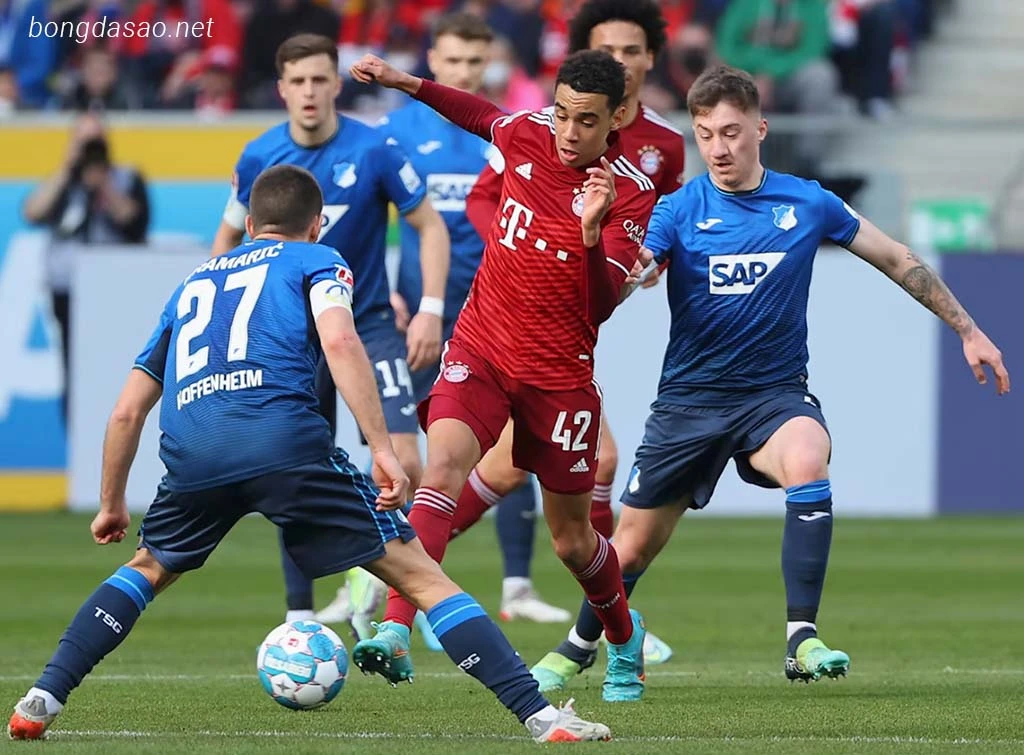 Soi kèo xiên ngày 13/01 FC Bayern Munich vs Hoffenheim, Bundesliga