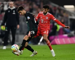 Soi kèo xiên 21/01 FC Bayern Munich vs Bremen, Bundesliga