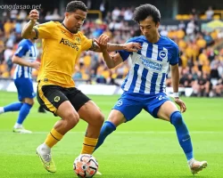 Soi kèo xiên ngày 23/01 Brighton vs Wolves, Ngoại hạng Anh