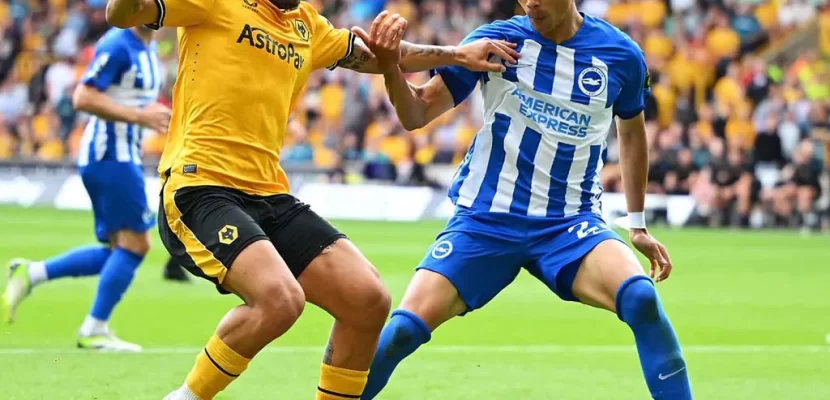 Soi kèo xiên ngày 23/01 Brighton vs Wolves, Ngoại hạng Anh