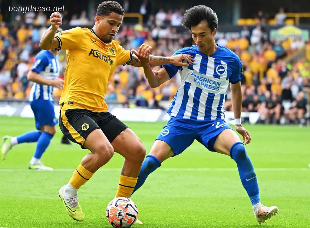 Soi kèo xiên ngày 23/01 Brighton vs Wolves, Ngoại hạng Anh