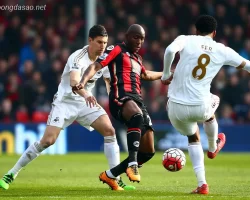 Soi kèo xiên ngày 26/01 Bournemouth vs Swansea, FA Cup