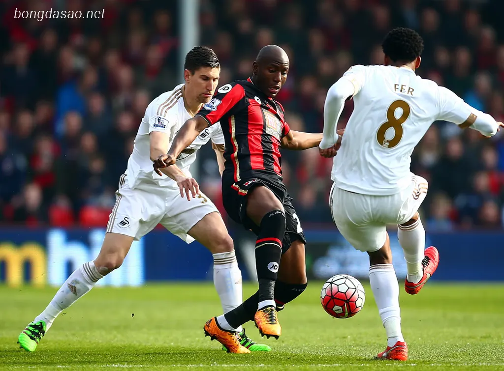 Soi kèo xiên ngày 26/01 Bournemouth vs Swansea, FA Cup
