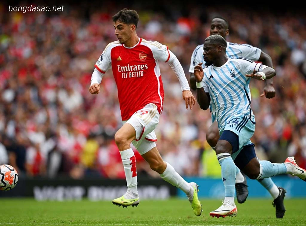 Nhận định kèo xiên ngày 31/01 Nottinham Forest vs Arsenal, EPL