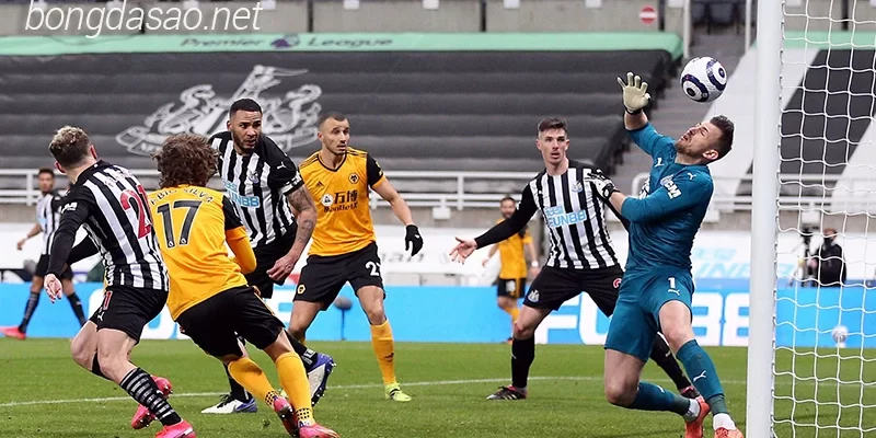 Nhận định soi kèo Newcastle vs Wolves, 22h00 ngày 02:03-1
