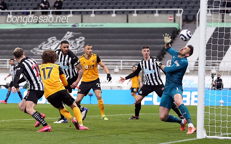 Nhận định soi kèo Newcastle vs Wolves, 22h00 ngày 02:03-1