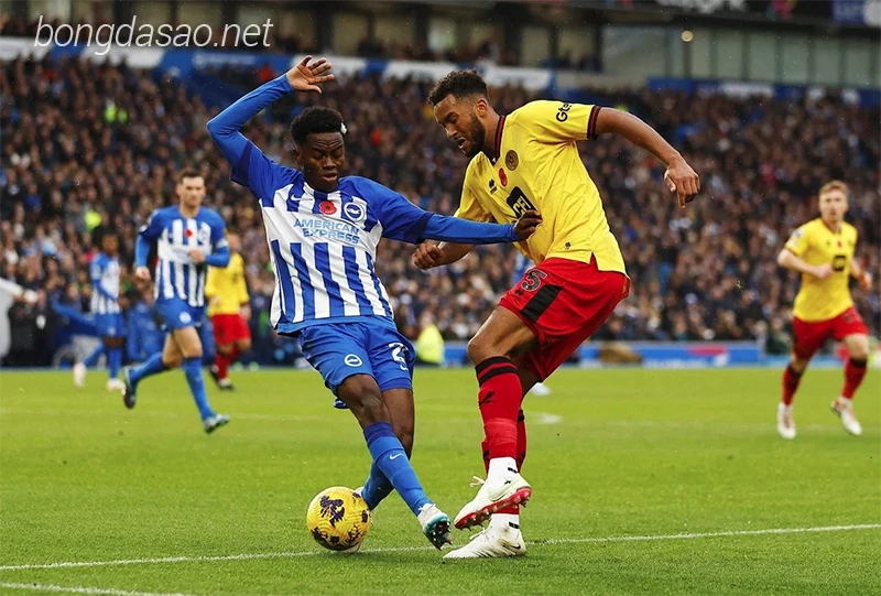 Nhận định soi kèo Sheffield United vs Brighton, 21h00 ngày 18:02-2