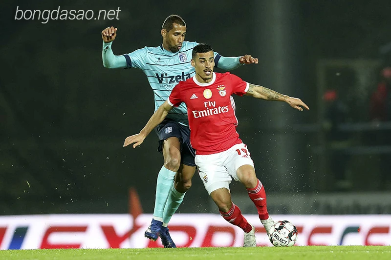 Nhận định soi kèo Vizela vs Benfica, 03h45 ngày 09:02-1