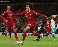 Kết quả bóng đá 29/02: LFC Liverpool hẹn MU ở tứ kết