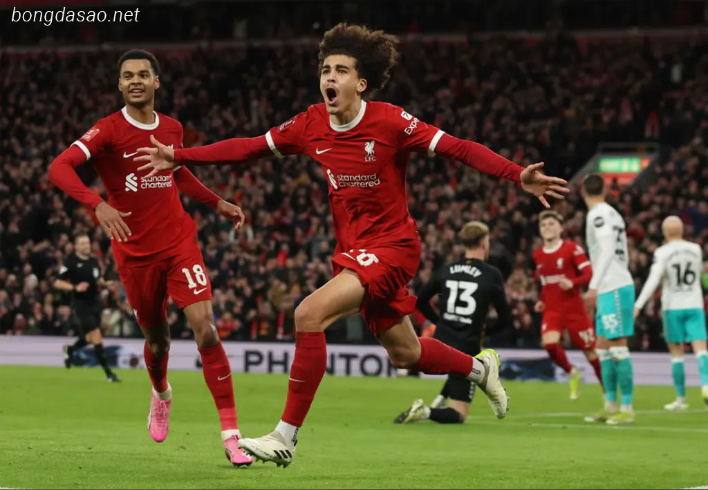 Kết quả bóng đá 29/02: LFC Liverpool hẹn MU ở tứ kết