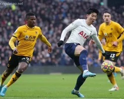 Nhận định kèo xiên ngày 17/02 Tottenham vs Wolves, EPL
