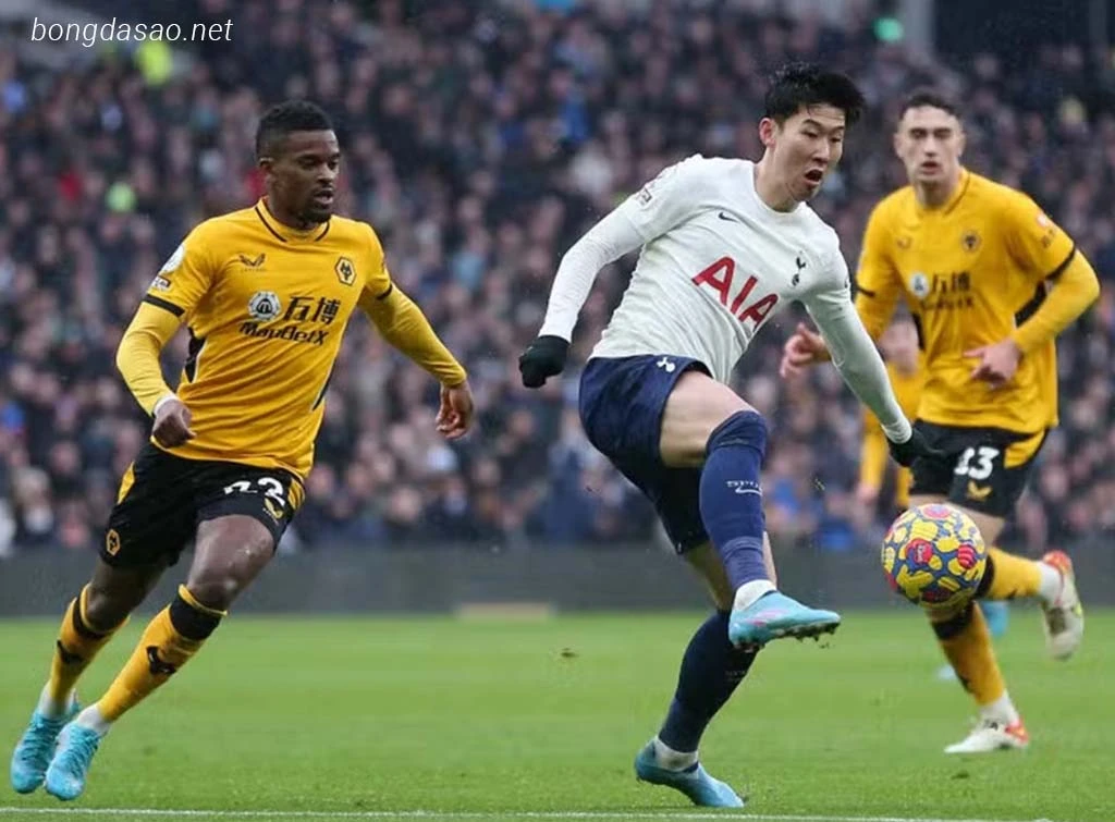 Nhận định kèo xiên ngày 17/02 Tottenham vs Wolves, EPL