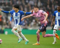 Soi kèo xiên 24/02 Brighton vs Everton, Ngoại hạng Anh