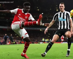 Soi kèo xiên ngày 25/02 Arsenal vs Newcastle, Ngoại hạng Anh