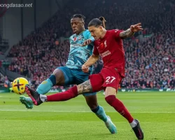 Soi kèo xiên 29/02 LFC Liverpool vs Southampton, FA Cup
