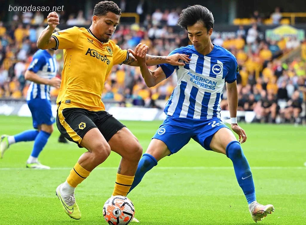Nhận định kèo xiên ngày 29/02 Wolves vs Brighton, FA Cup