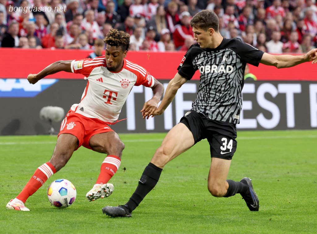 Soi kèo xiên 02/03 Freiburg vs FC Bayern Munich, Bundesliga