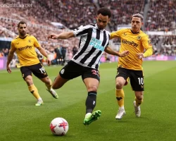 Nhận định kèo xiên ngày 02/03 Newcastle vs Wolves, EPL