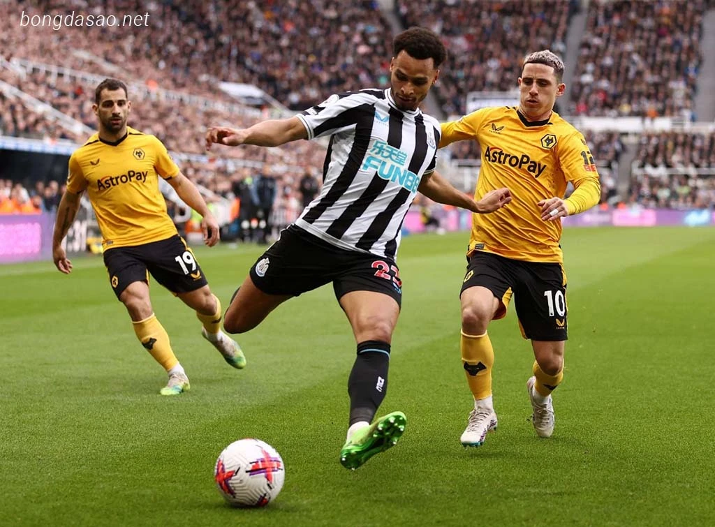 Nhận định kèo xiên ngày 02/03 Newcastle vs Wolves, EPL