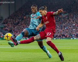 Nhận định kèo xiên ngày 08/03 Sparta Praha vs LFC Liverpool
