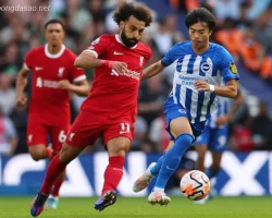 Nhận định kèo xiên ngày 31/03 LFC Liverpool vs Brighton, EPL
