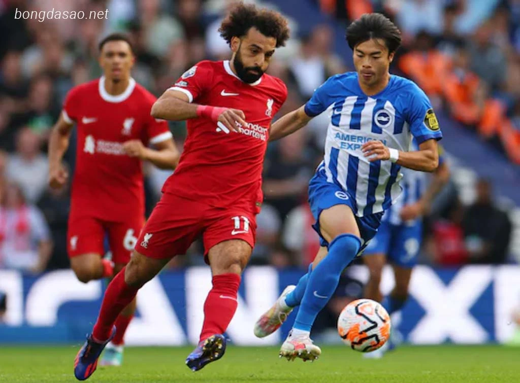 Nhận định kèo xiên ngày 31/03 LFC Liverpool vs Brighton, EPL