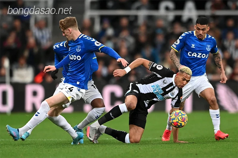 Nhận định soi kèo Newcastle vs Everton, 01h30 ngày 03:04-1