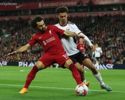 Nhận định kèo xiên 21/04 Fulham vs LFC Liverpool, EPL