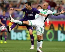 Soi kèo xiên ngày 29/04 Fiorentina vs Sassuolo, Serie A