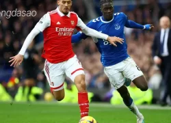 Nhận định soi kèo Arsenal vs Everton, 22h00 ngày 19_05 1