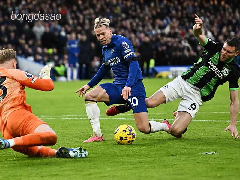 Nhận định soi kèo Brighton vs Chelsea, 01h45 ngày 16_05 1
