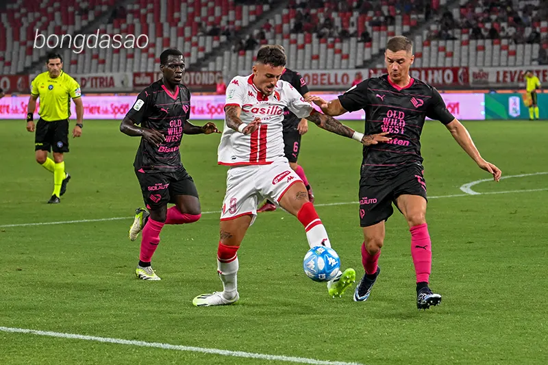 Nhận định soi kèo Catanzaro vs Cremonese, 01h30 ngày 22_05 1