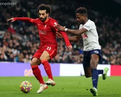 Nhận định kèo xiên ngày 05/05 LFC Liverpool vs Tottenham, EPL