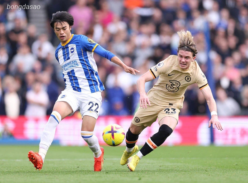 Soi kèo xiên ngày 16/05 Brighton vs Chelsea, Ngoại hạng Anh