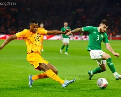 Nhận định kèo xiên 07/06 Hà Lan vs Canada, Giao hữu quốc tế