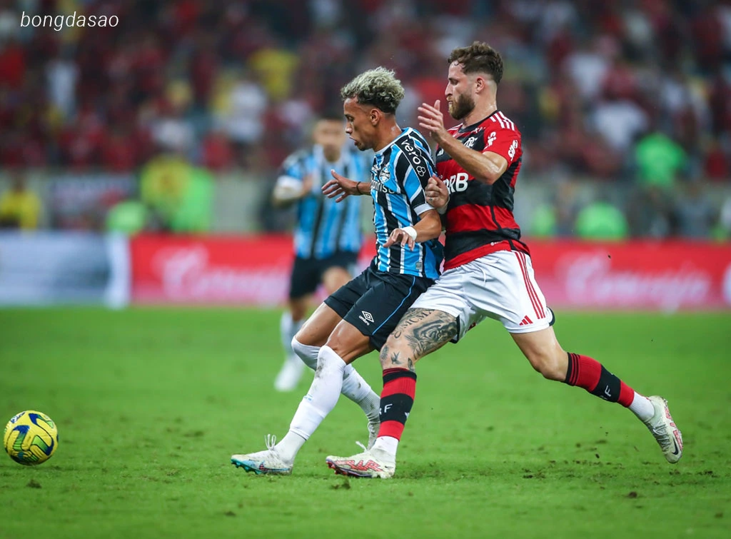 Nhận định kèo xiên 14/06 Flamengo vs Gremio, VĐQG Brazil