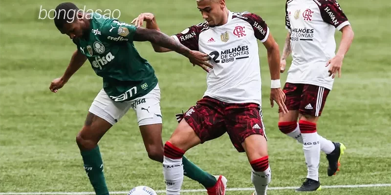 Nhận định soi kèo Flamengo vs Palmeiras, 06h00 ngày 01_08 1
