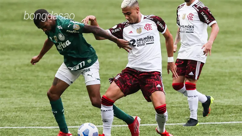 Nhận định soi kèo Flamengo vs Palmeiras, 06h00 ngày 01_08 1