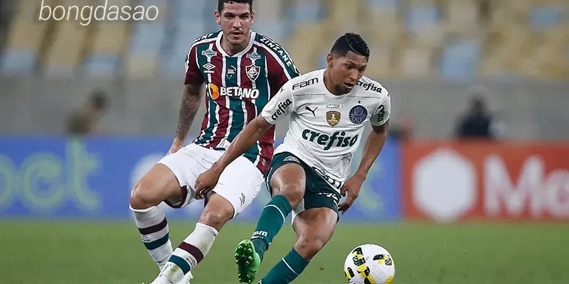 Nhận định soi kèo Fluminense vs Palmeiras, 07h30 ngày 25_07 1