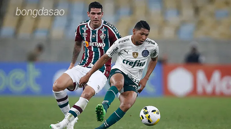 Nhận định soi kèo Fluminense vs Palmeiras, 07h30 ngày 25_07 1