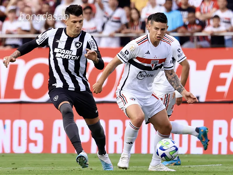 Nhận định soi kèo Sao Paulo vs Botafogo, 05h30 ngày 25_07 1