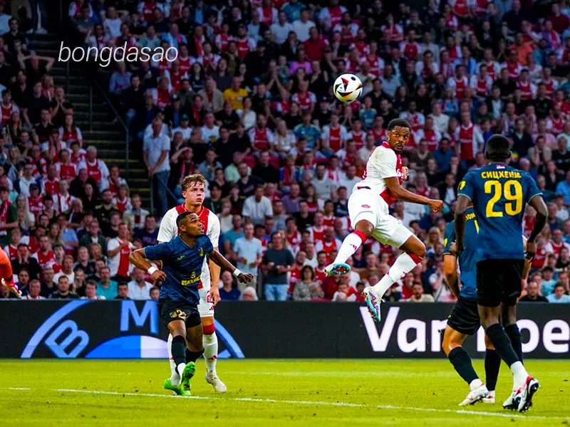 Nhận định soi kèo Vojvodina vs Ajax, 01h00 ngày 02_08 1