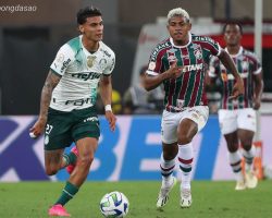 Soi kèo xiên ngày 25/07 Fluminense vs Palmeiras, VĐQG Brazil