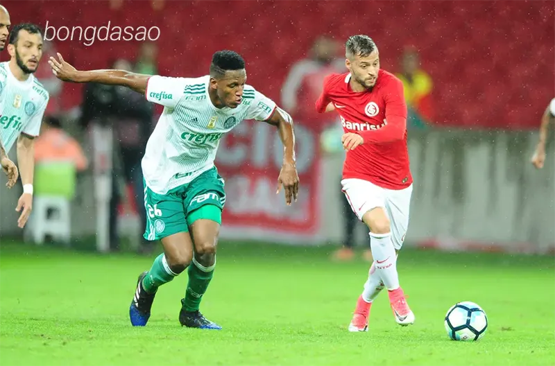 Nhận định soi kèo Internacional vs Palmeiras, 03h00 ngày 05_08 1