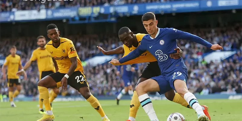 Nhận định soi kèo Wolves vs Chelsea, 20h00 ngày 25_08 1