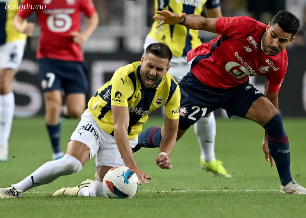 Kết quả bóng đá 14/08: Fenerbahce cay đắng rời UCL