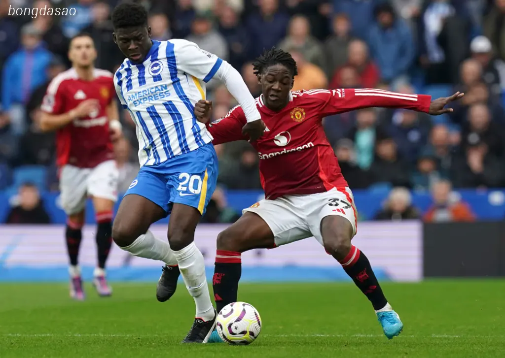 Kết quả bóng đá ngày 24/08: Man United vs Brighton