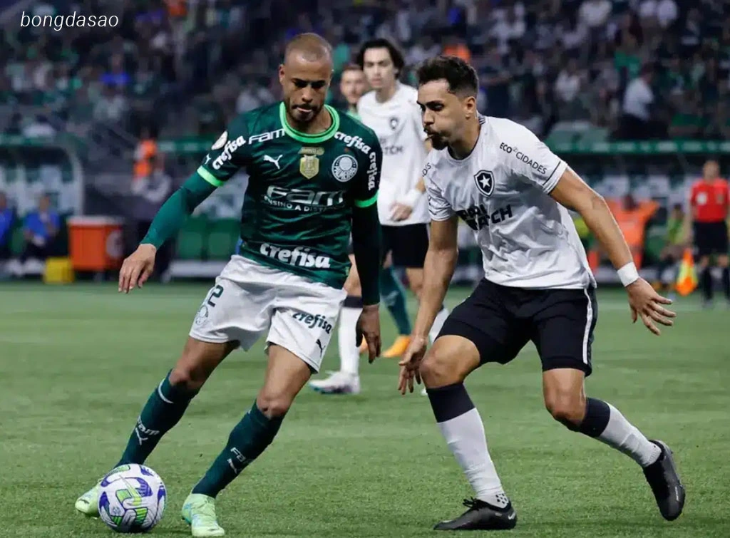 Nhận định kèo xiên 15/08 Botafogo vs Palmeiras, Copa Libertadores